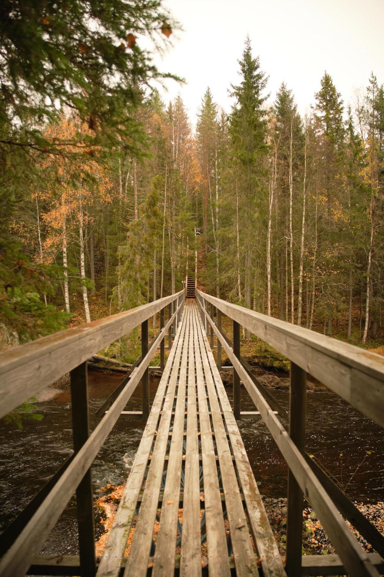 Langforsen Glamping & Lapland Experience Hotel Lapptrask Exterior photo